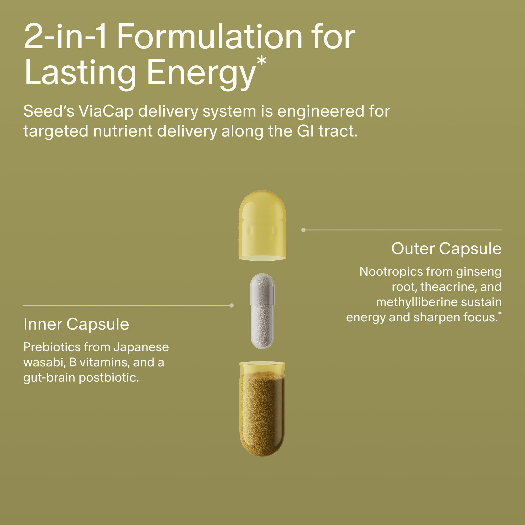 Seed Daily Focus & Energy Supplement | Focus & Clarity

