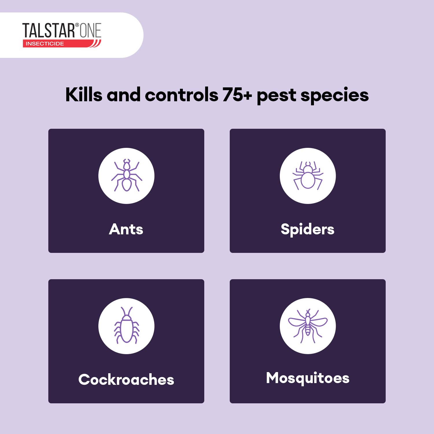 Talstar One Insecticide Concentrate for Diverse Spaces

