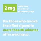 Wellness Basics Nicotine Lozenges Stop Smoking Aid

