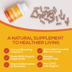 Vitamin C Paleovalley Essential C Complex Supplement

