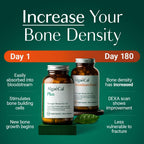 Calcium Supplement ALGAECAL Bone Builder Bundle

