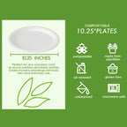Vplus Compostable Disposable Dinner Plates


