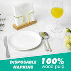 JINVOGREEN Beverage Napkins for Cocktails & Parties

