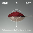 HumanN SuperBeets Beet Root Powder Nitric Oxide Supplement

