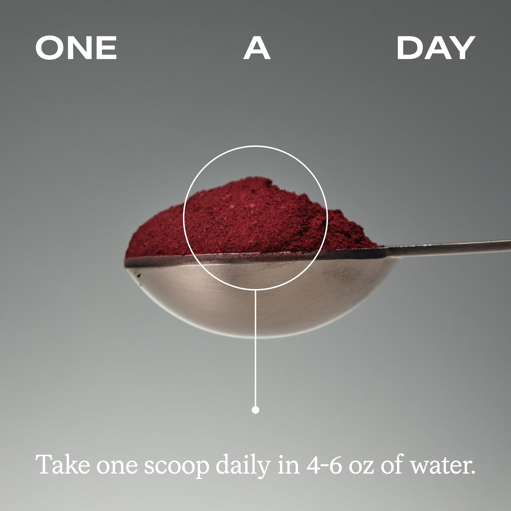 HumanN SuperBeets Beet Root Powder Nitric Oxide Supplement

