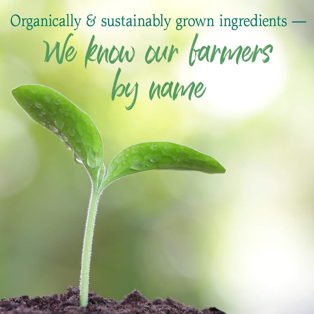 Garden of Life Raw Organic Perfect Food Greens Powder

