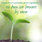 Garden of Life Raw Organic Perfect Food Greens Powder

