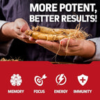 Herbtonics Korean Red Panax Ginseng 1500mg - Energy & Focus

