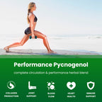 Pycnogenol Pine Bark Extract by NutraChamps for Circulation

