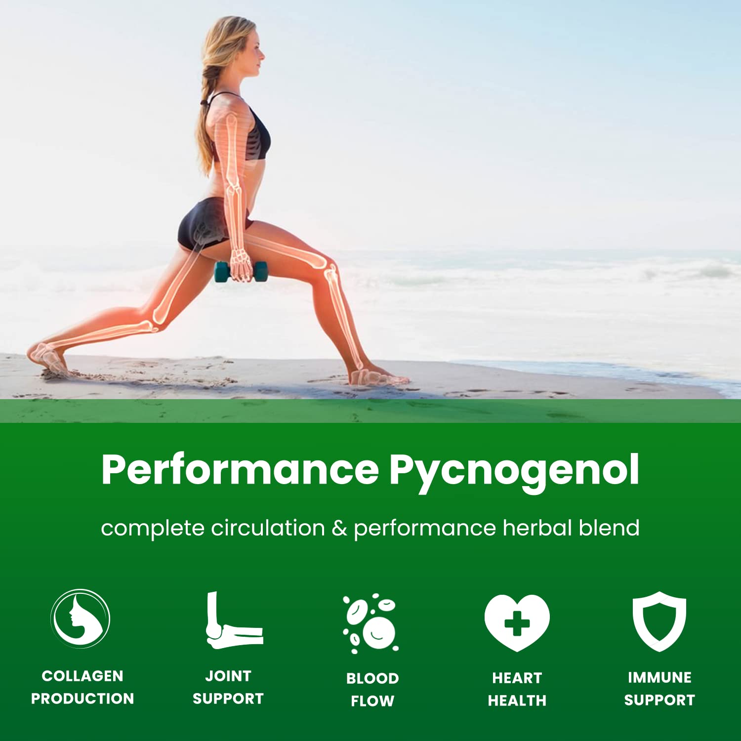Pycnogenol Pine Bark Extract by NutraChamps for Circulation

