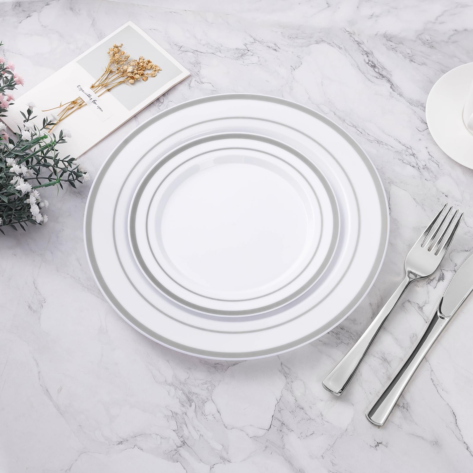 BESTVIP Disposable Plastic Plates with Rim

