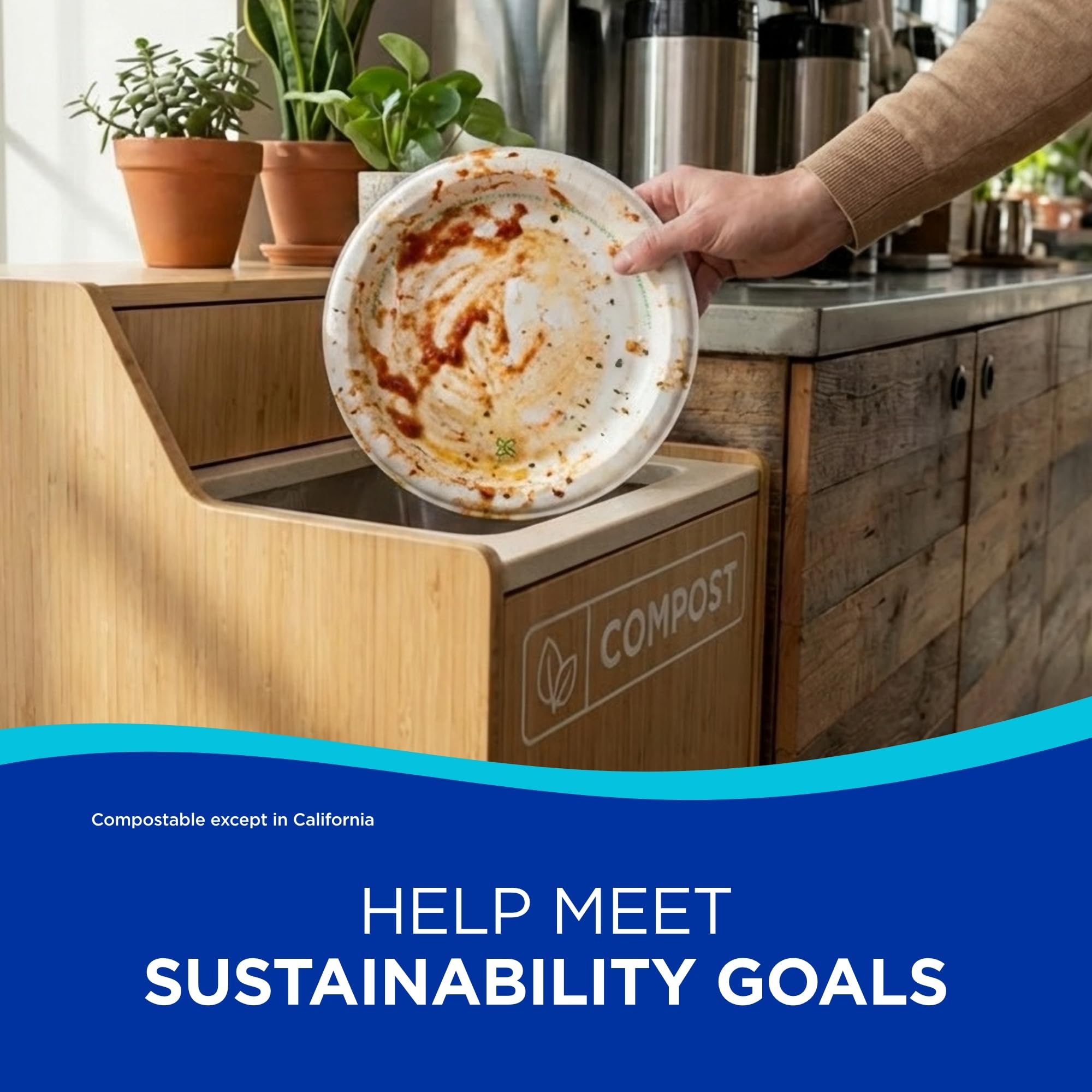 Dixie Basic Disposable Paper Plates by GP PRO - Soak-Proof

