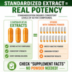Turmeric Boswellia Capsules by Herbal Code

