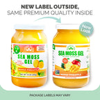 Sea Moss Gel by EverSmith Organics | USA Made


