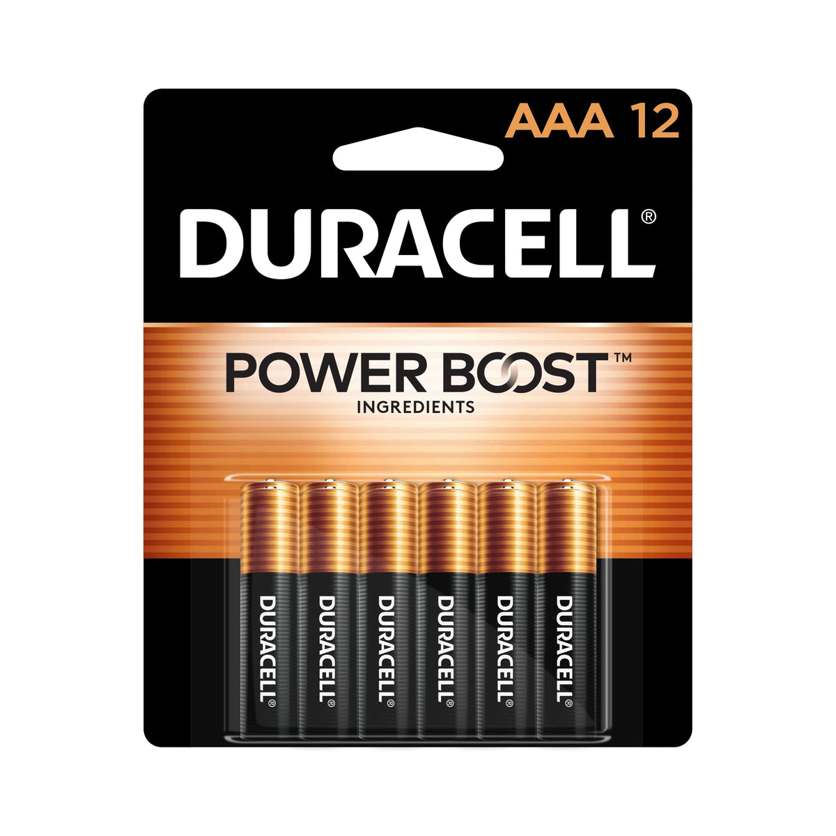 Duracell Coppertop AAA Alkaline Batteries with Power Boost for Household and Office