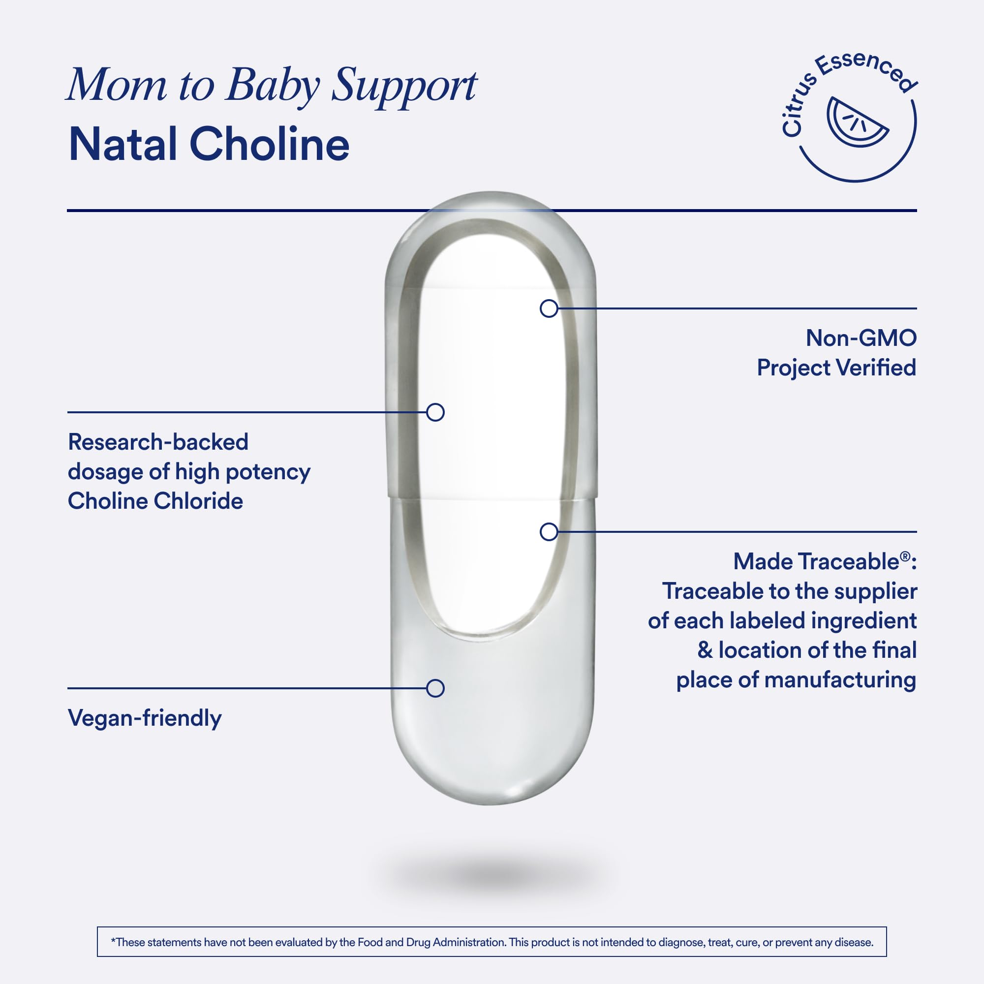 Ritual Natal Choline Prenatal Supplement | Brain Support

