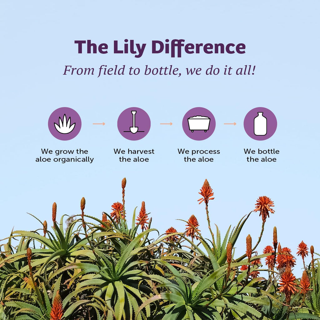 Aloe Vera Juice by Lily of the Desert - Organic Whole Leaf

