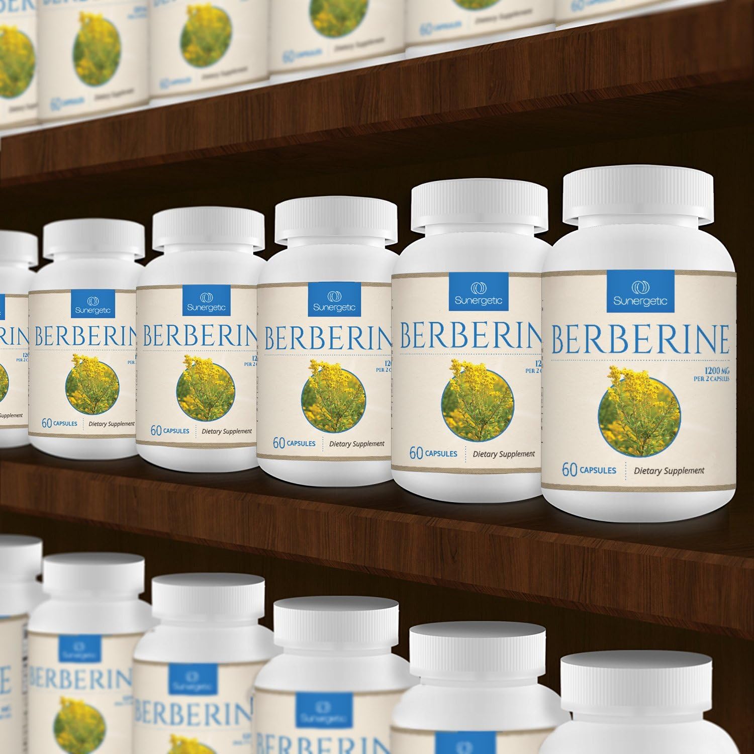 Sunergetic Berberine HCl Supplement – Immune Support

