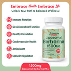 CEALMU CORE Liposomal Berberine HCL 1500mg AMPK Support

