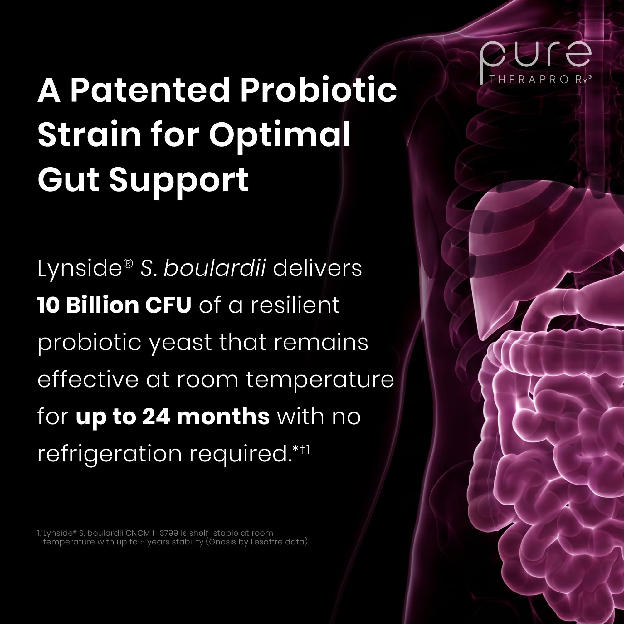Saccharomyces Boulardii Probiotics by Pure TheraPro Rx

