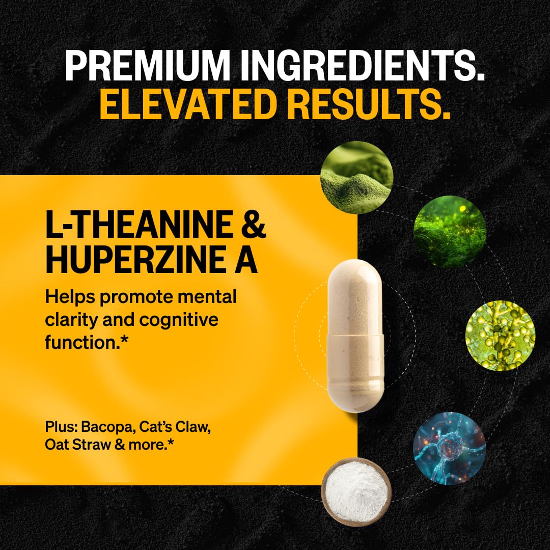 Onnit Alpha Brain Nootropic Capsules for Memory & Focus

