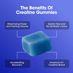 Optimum Nutrition Creatine Monohydrate Gummies | Performance

