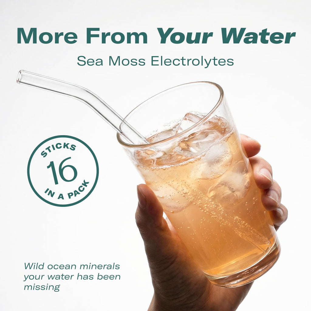 TrueSeaMoss Electrolyte Powder – Hydration & Recovery

