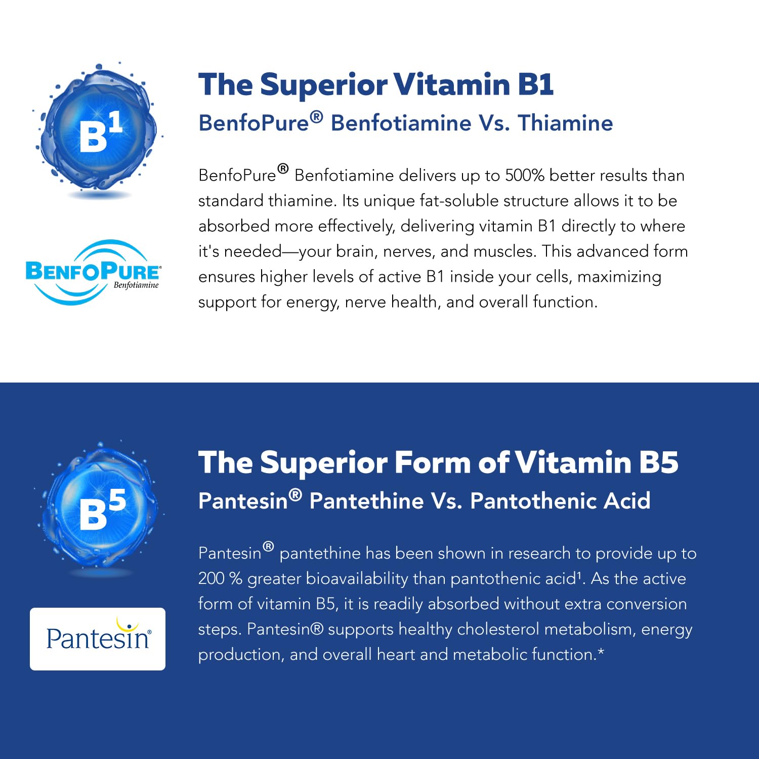 BioActive Vitamin B Complex by Triquetra Health

