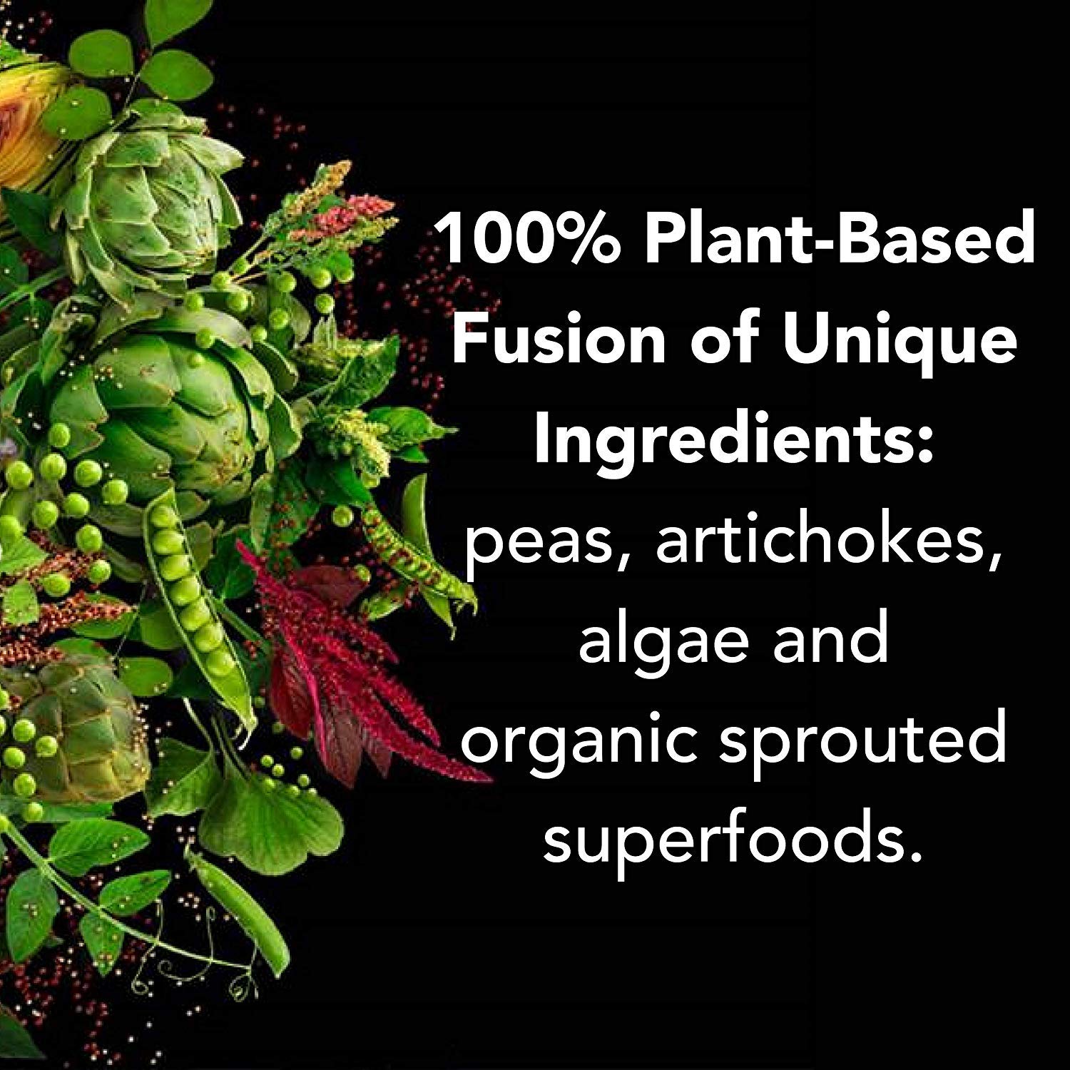 PlantFusion Complete Vegan Protein Powder with BCAAs

