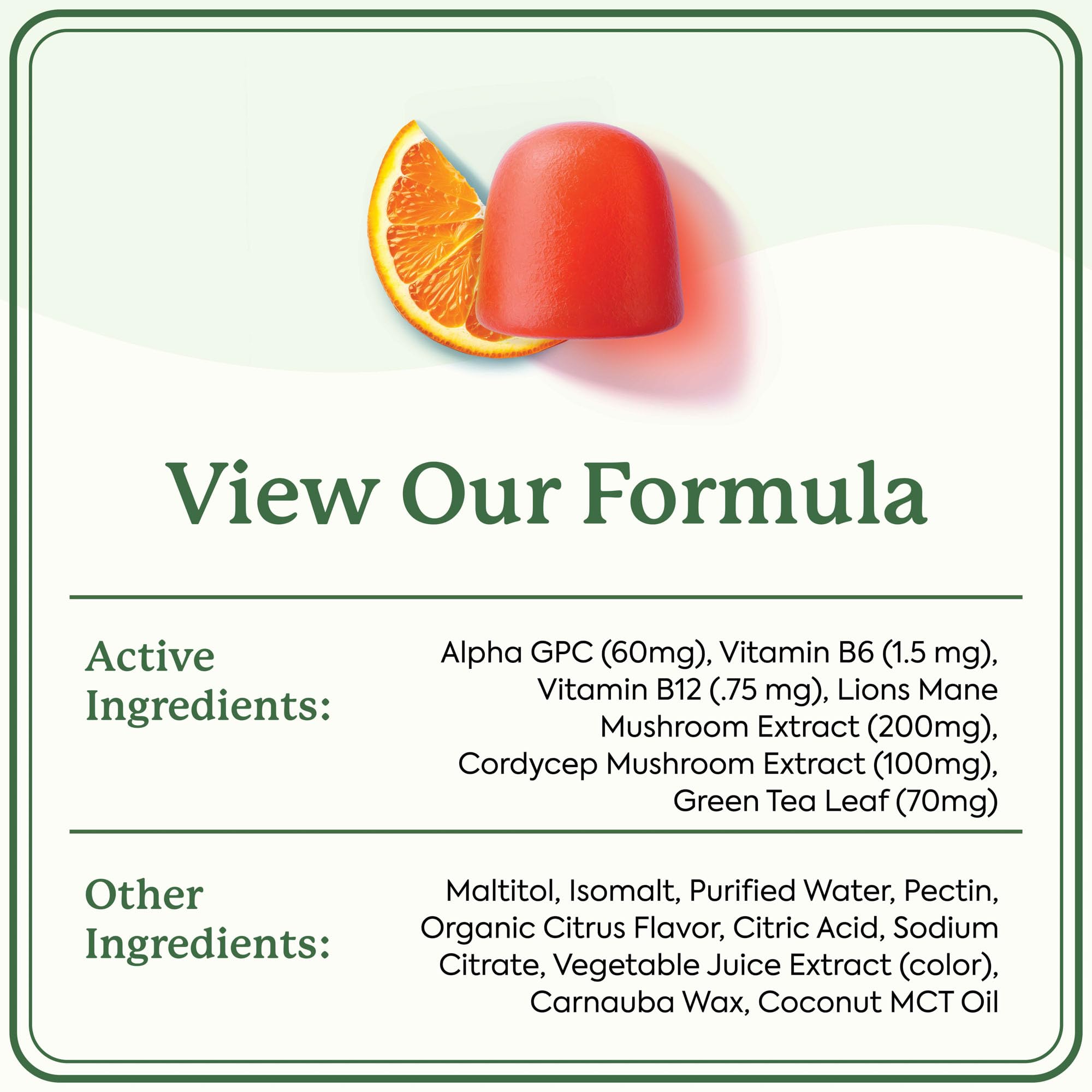 Plant People WonderFocus Mushroom Gummies | Nootropic Brain Support

