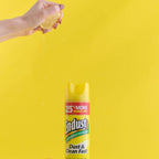 Endust Multi-Surface Dusting & Cleaning Spray

