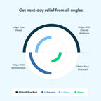 Cheers Relief Next-Morning Alcohol Recovery Supplement

