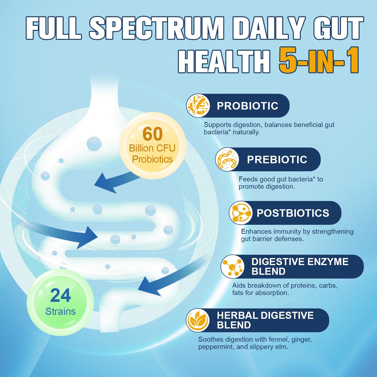 Totaria 5-in-1 Probiotic Prebiotic Postbiotic for Gut Health

