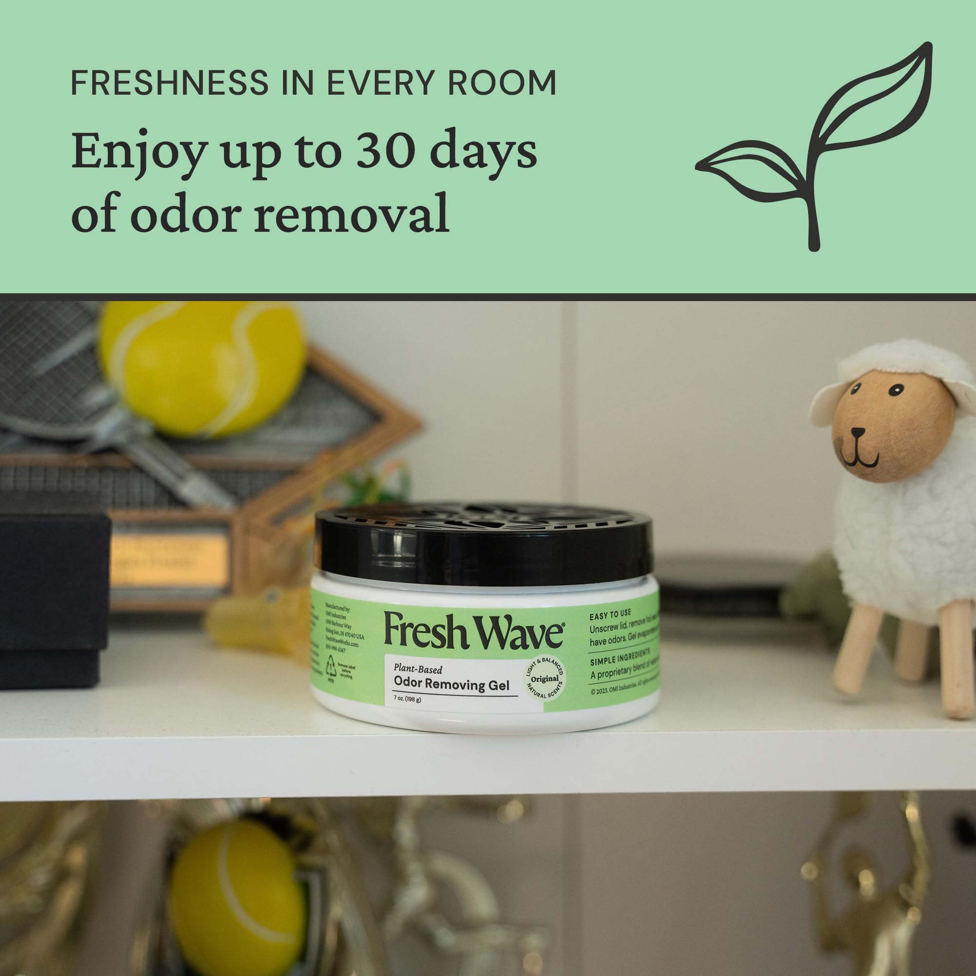 Fresh Wave Odor Removing Gel | Plant-Based Odor Eliminator

