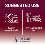 Dr. Berg Zinc Supplement for Immune Support | Daily Wellness

