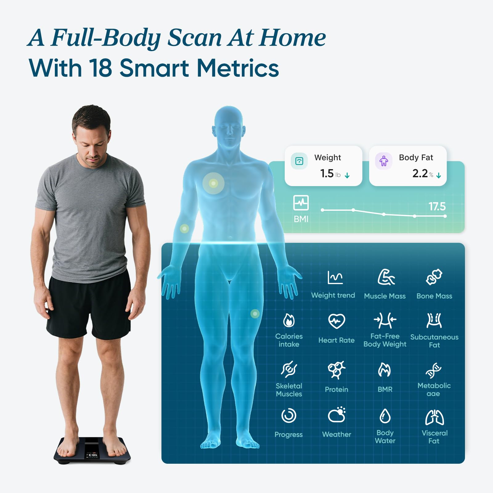 Etekcity Smart Scale – VeSync Apple Health Compatible

