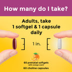 Nature Made Prenatal Vitamin + Choline DHA Folic Acid

