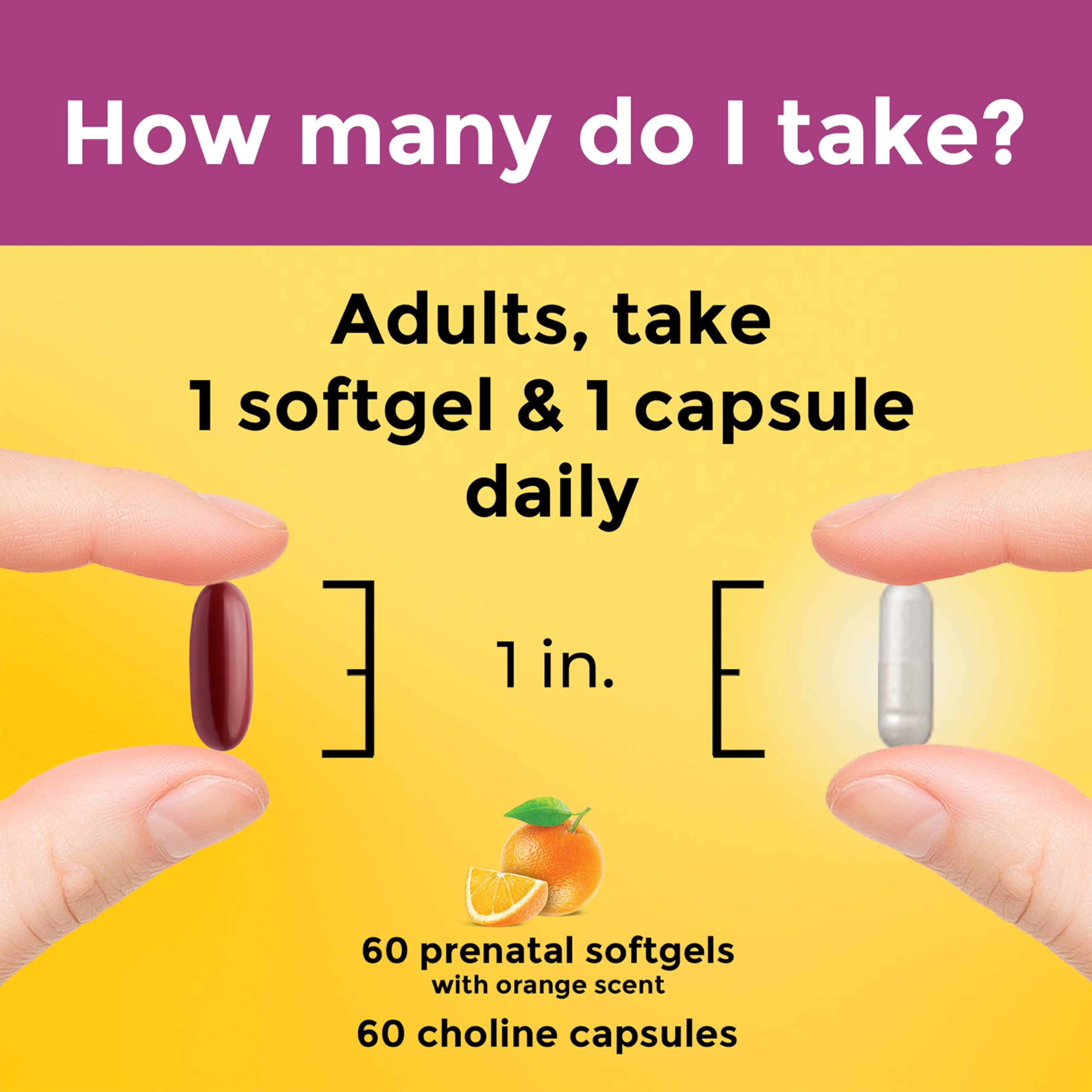 Nature Made Prenatal Vitamin + Choline DHA Folic Acid

