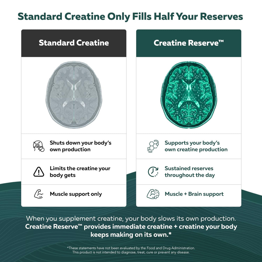 Creatine Supplement for Energy & Focus

