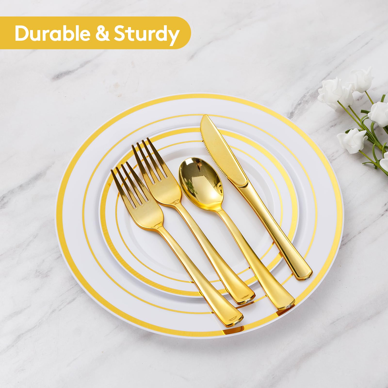 Goodluck Disposable Party Dinnerware Set


