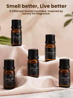 Waterless Diffuser with Hotel-Inspired Oils for Large Spaces

