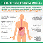 Wholesome Wellness Digestive Enzymes with Probiotics


