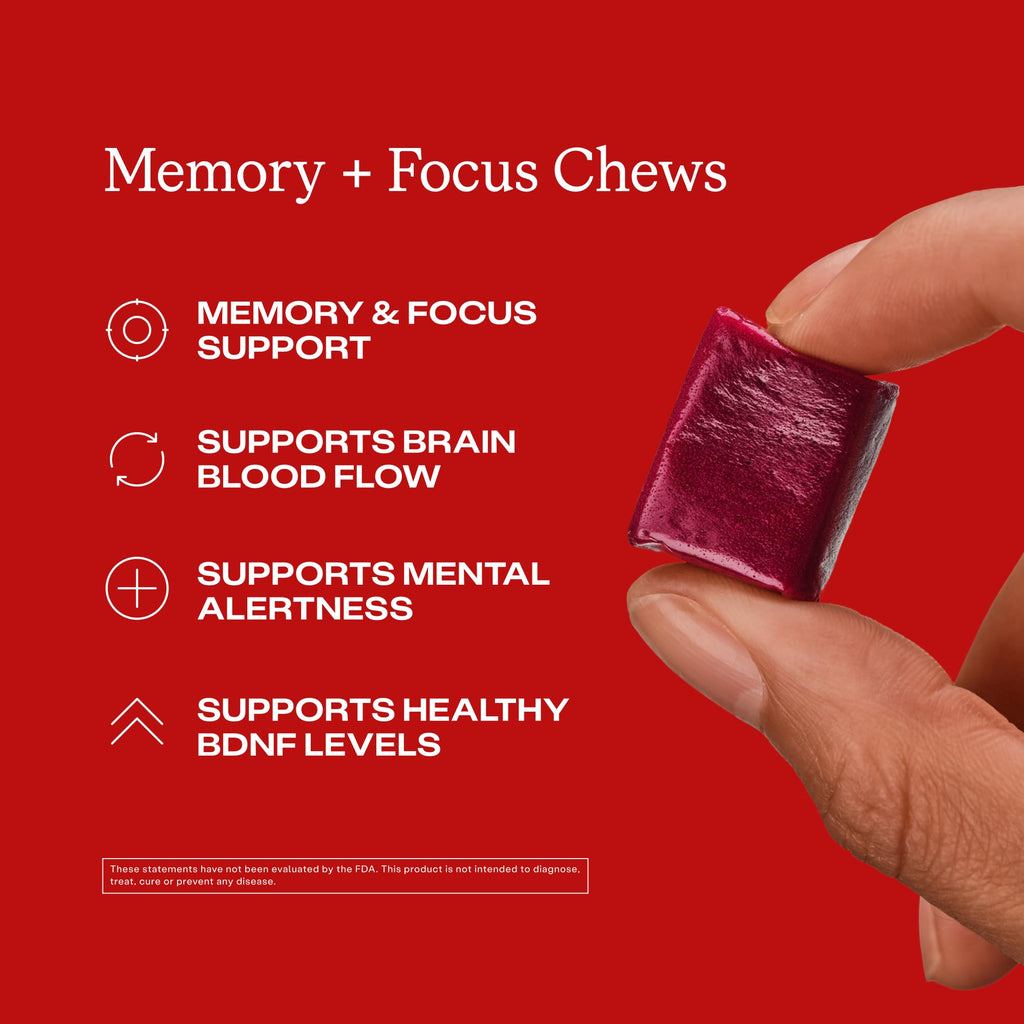 HumanN Memory and Focus Chews - Brain Health Supplement

