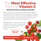 Plant-C Organic Vitamin C Supplement - Whole Food Bioavailable

