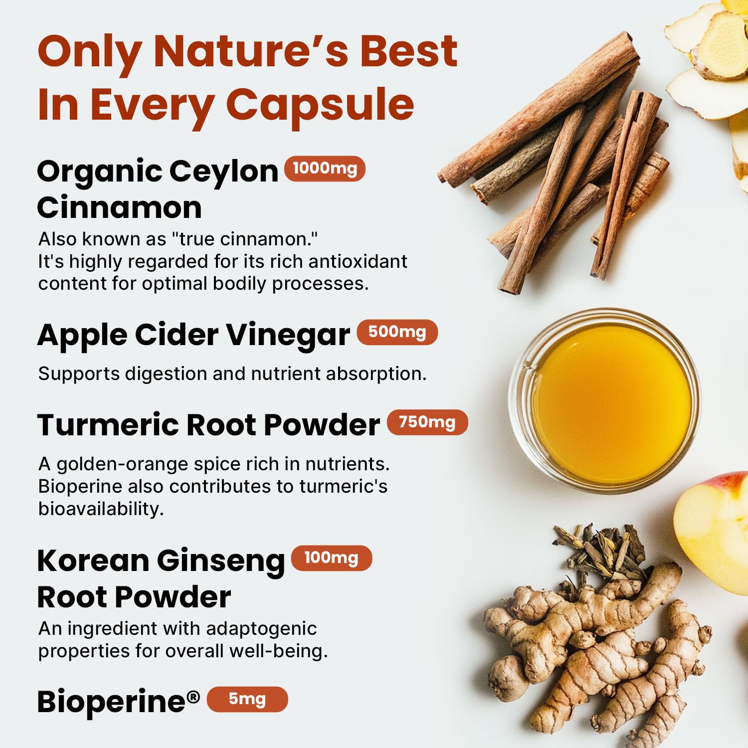 5-in-1 Cinnamon Capsules with ACV & BioPerine

