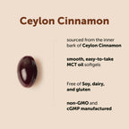 Micro Ingredients Ceylon Cinnamon Supplement with MCT Oil

