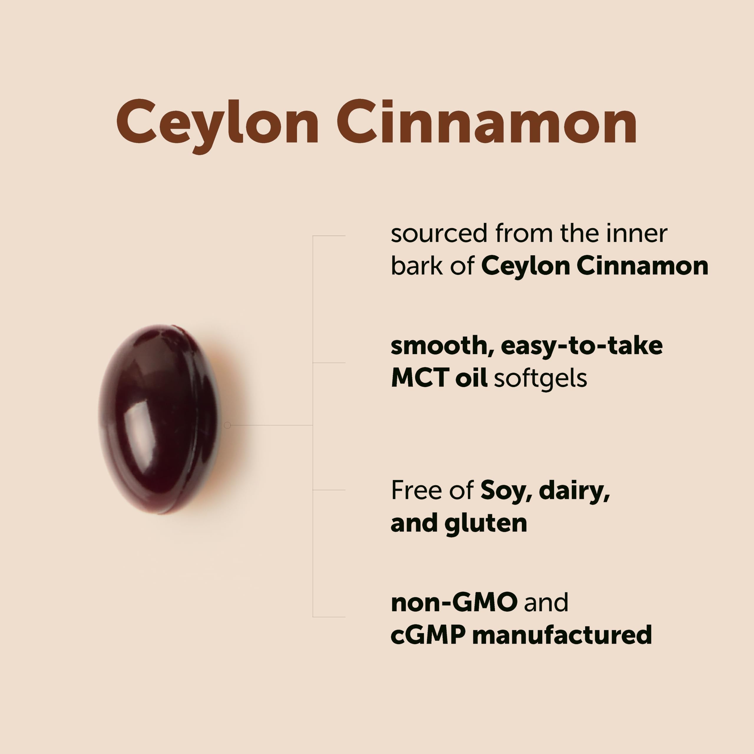 Micro Ingredients Ceylon Cinnamon Supplement with MCT Oil

