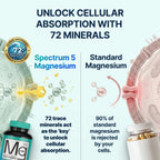 Spectrum Magnesium 5-in-1 with 72 Trace Minerals

