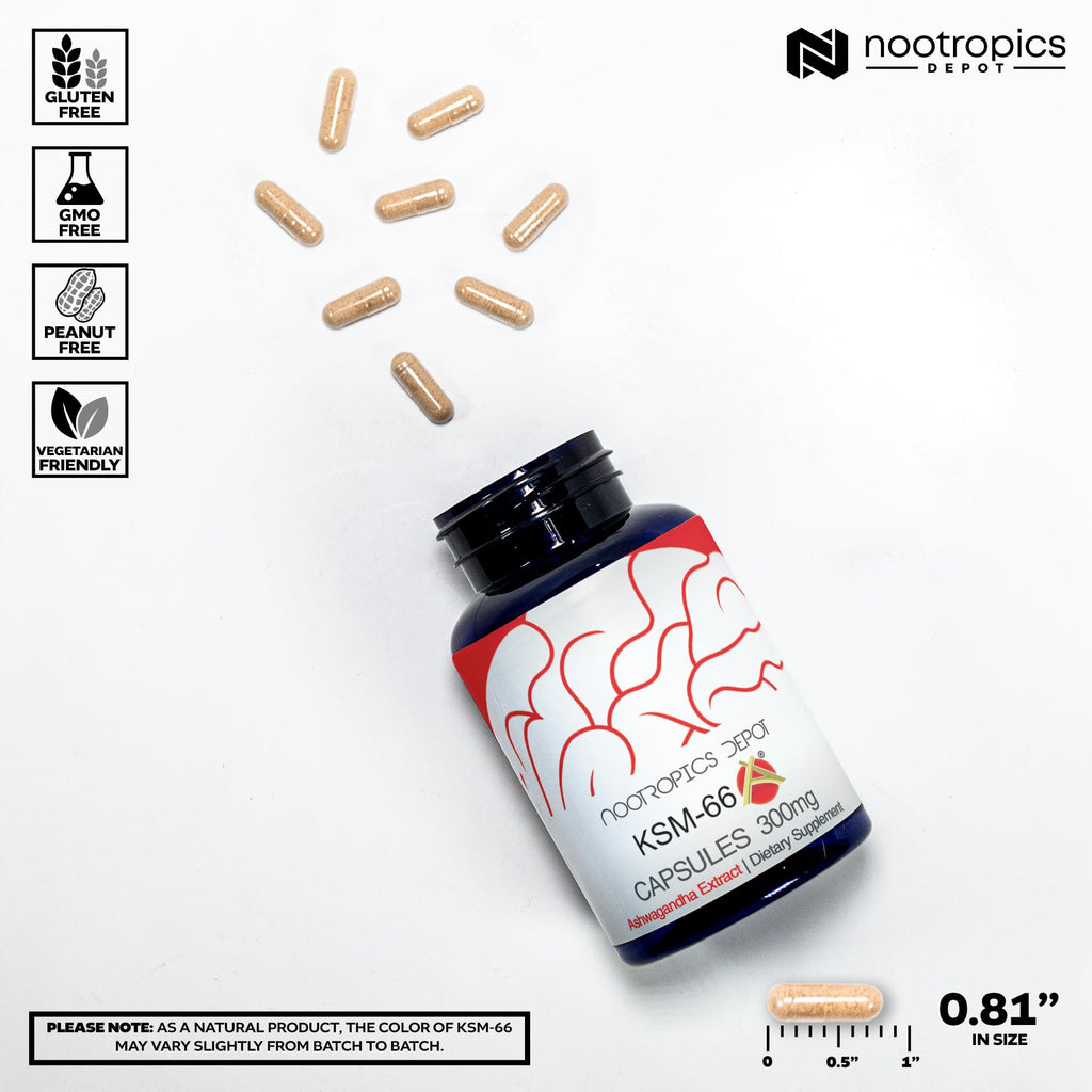 Nootropics Depot KSM-66 Ashwagandha Capsules | Adaptogen

