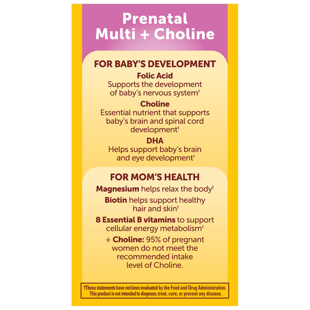 Nature Made Prenatal Vitamin + Choline DHA Folic Acid

